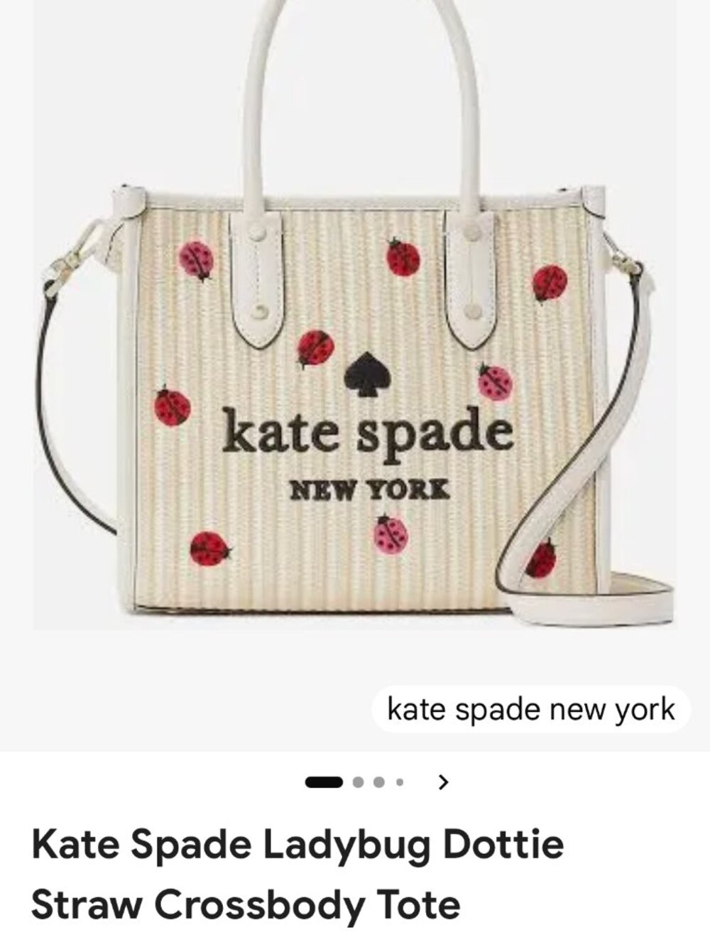 NWT Kate Spade Ella Small Embrodered Straw Ladybug Tote